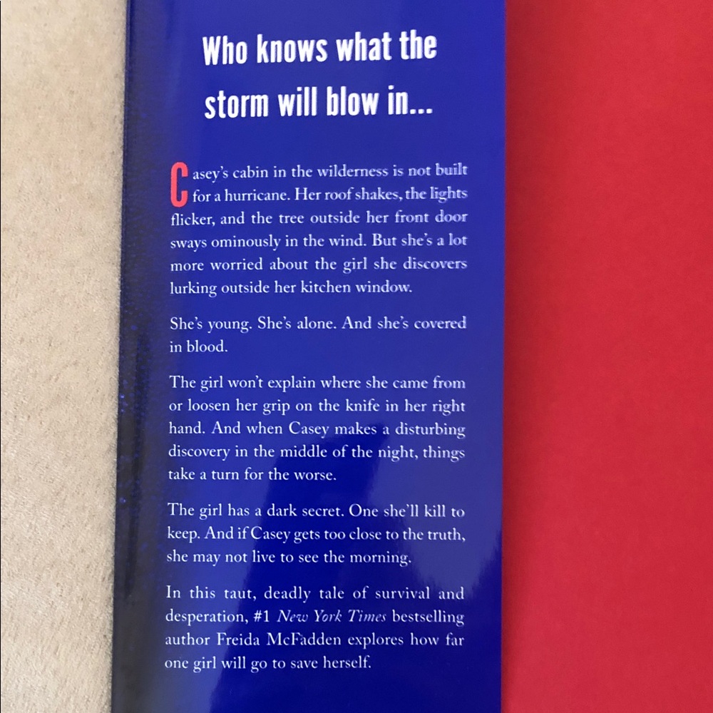 Freida McFadden’s Newest Book - Picture 4 of 5